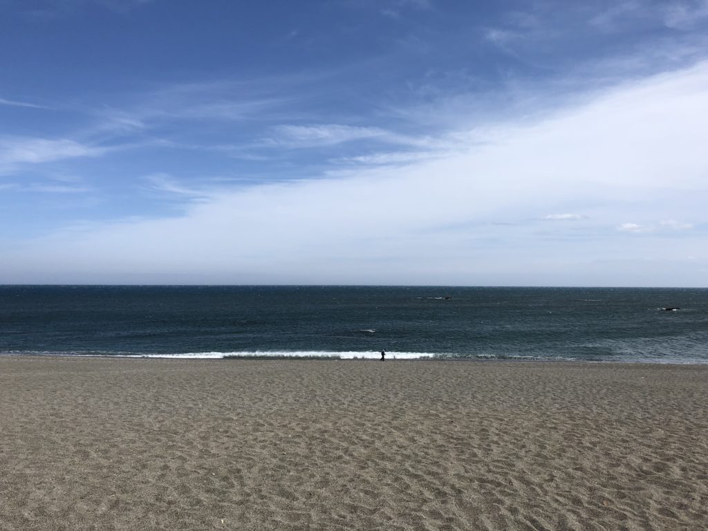 桂浜の砂浜