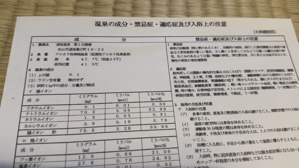 大和屋別荘のおまかせ和室【躑躅】の案内板に入っていた温泉の成分分析表