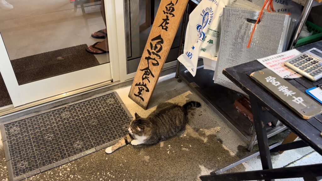 店前を陣取っている猫ちゃん＠久礼大正町市場
