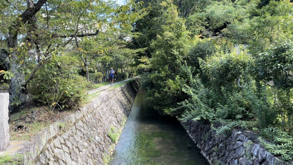 哲学の道の横には琵琶湖疎水が流れている