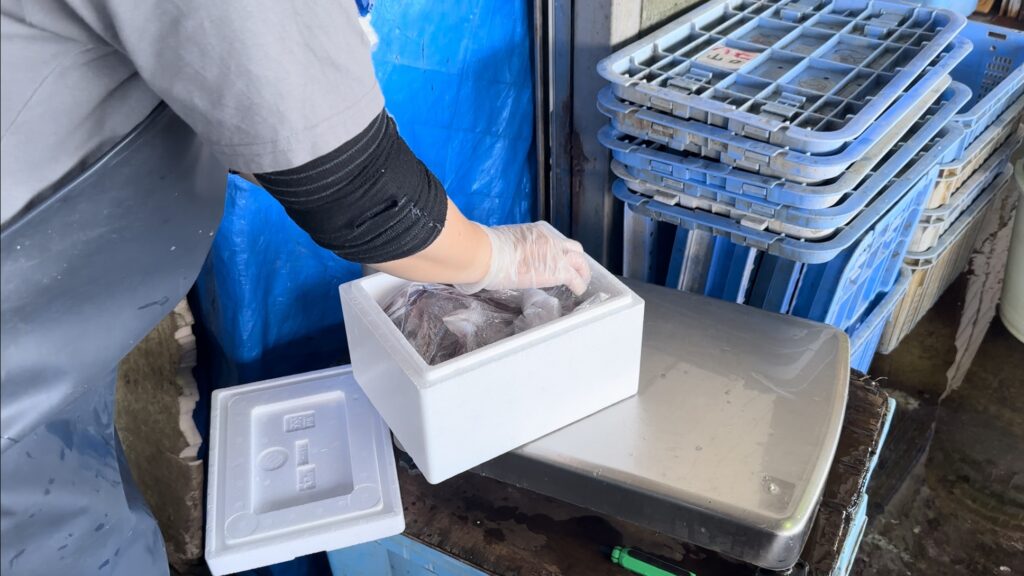 由良町漁業協同組合の山口水産で購入した魚は保冷箱へ詰めてくれる
