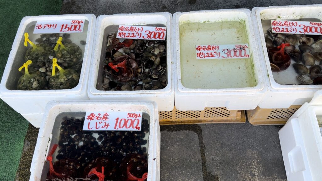 桑名産の天然地蛤は高価＠貝増の赤須賀店