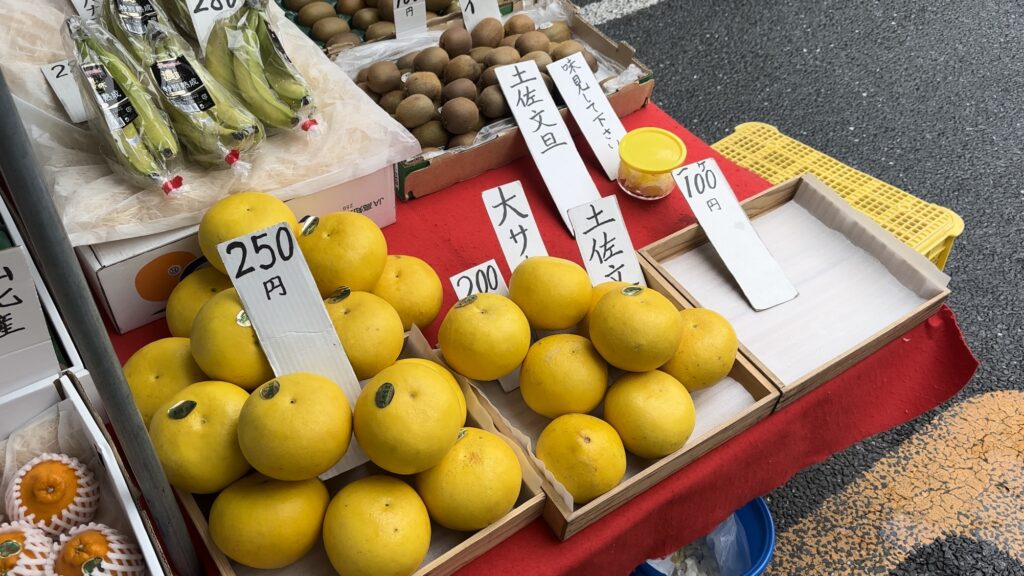 高知県産の果物や野菜が安価に並ぶ＠日曜市