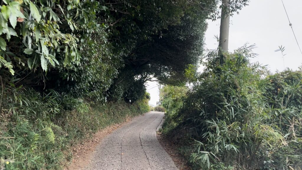 大型車だと木の枝でこする道幅