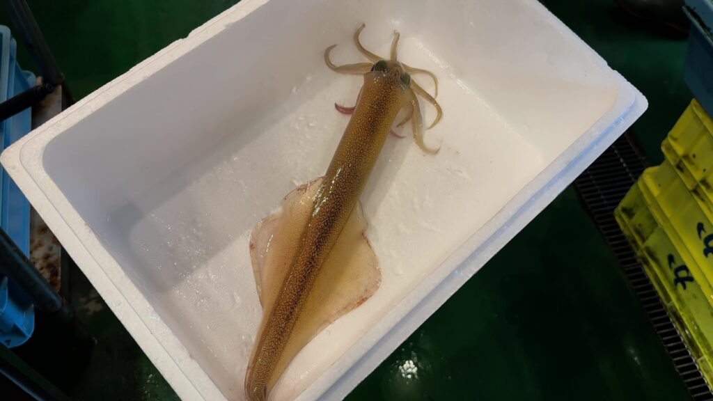 捌いてもらって持ち帰りも可能