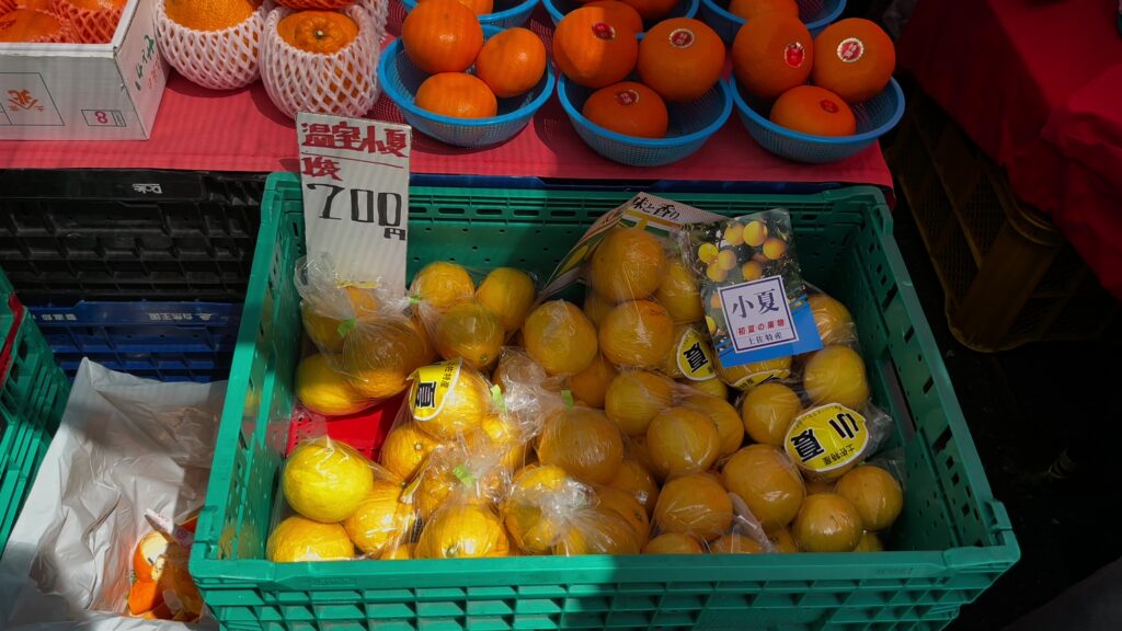 初夏の高知名物「小夏」